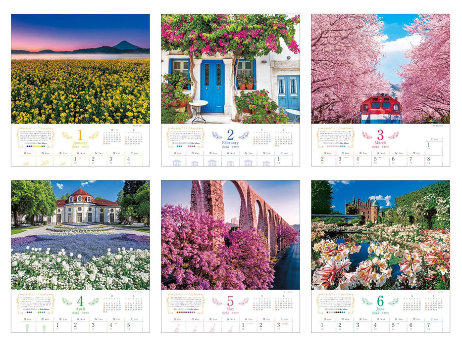 Calendar 2025 Romantic Flowers (Monthly/Wall Calendar) (Impress Calendar 2025)