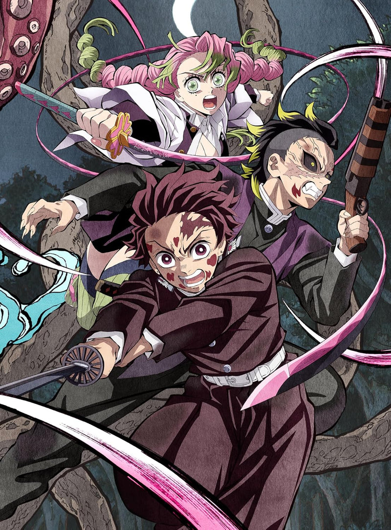 Demon Slayer: Kimetsu no Yaiba Katanakaji no Sato-hen 5 (Fully Limited Production Edition) [DVD]
