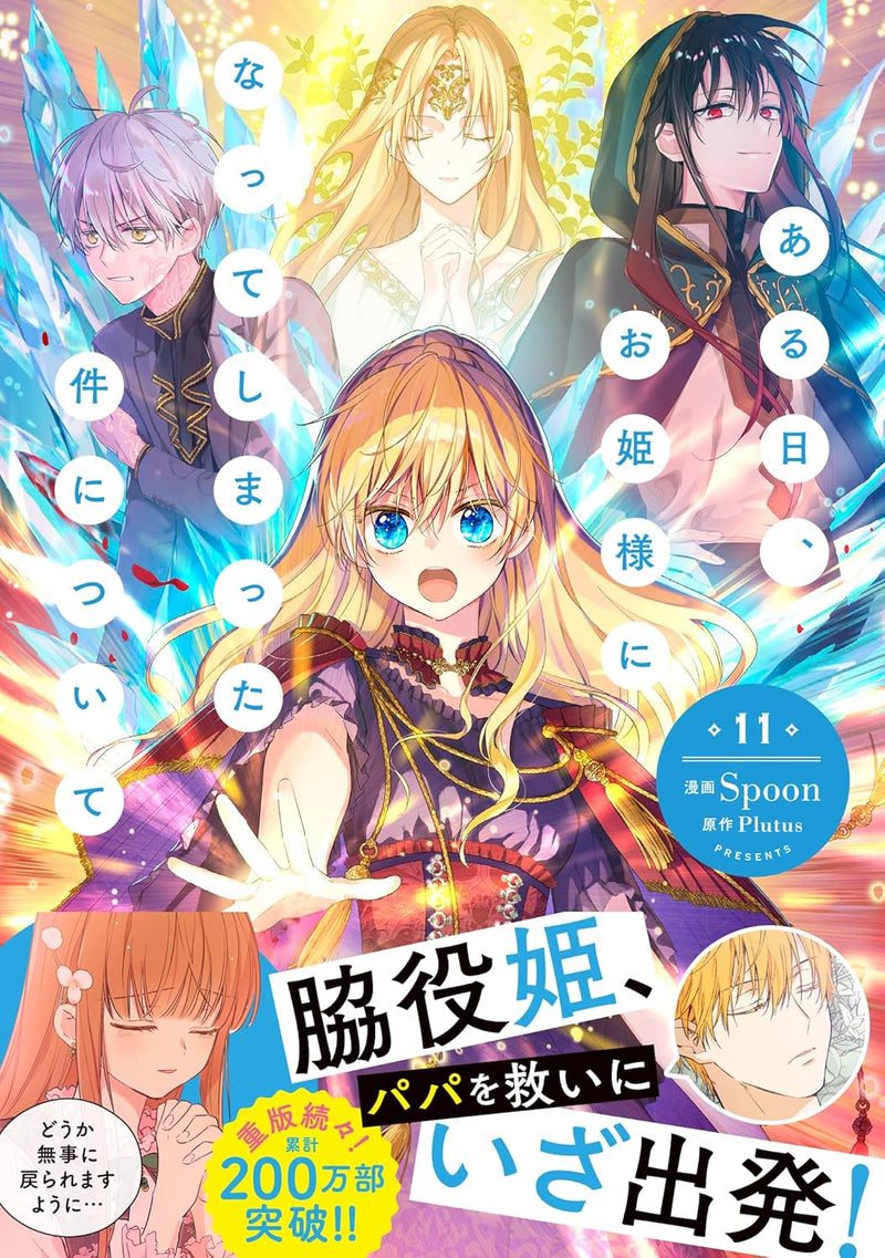 Aruhi, Ohimesama ni Natteshimatta Ken ni Tsuite 11