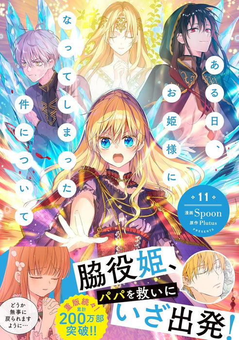 Aruhi, Ohimesama ni Natteshimatta Ken ni Tsuite 11