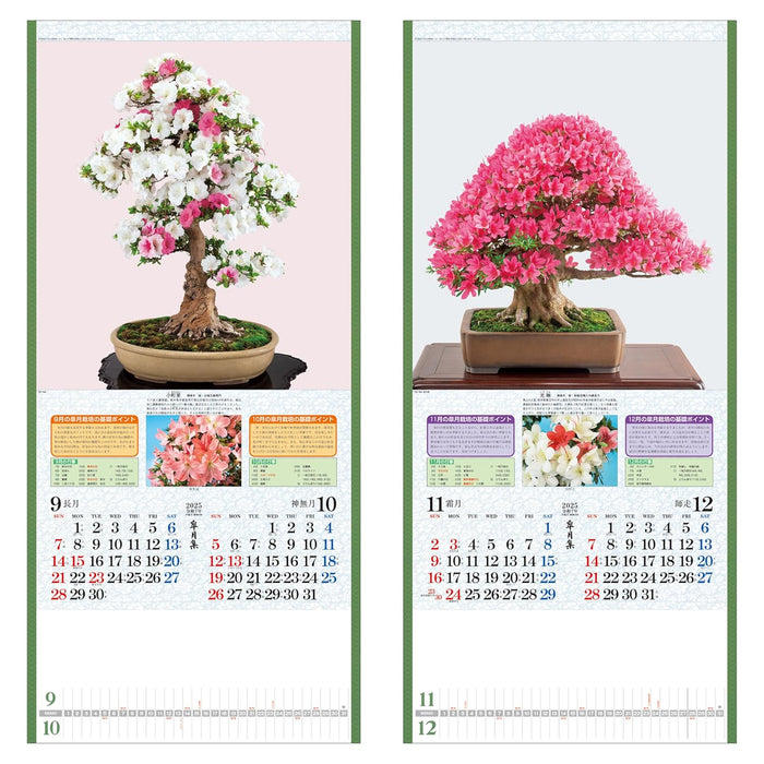 Todan 2025 Wall Calendar Satsuki Shu 76.5 x 35cm TD-784