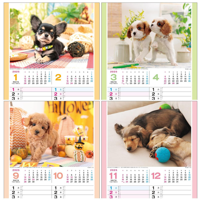 Todan 2025 Wall Calendar Koinu 52.7 x 19cm TD-997