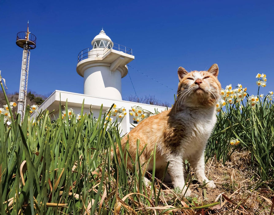 Mitsuaki Iwago Nora Calendar 2026