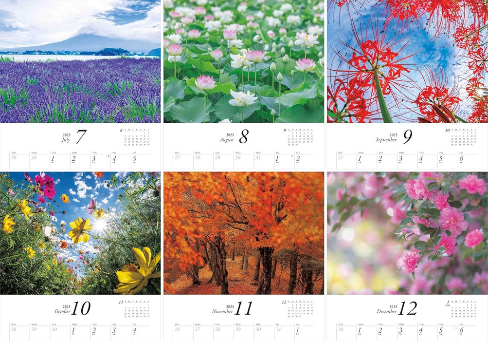 Calendar 2025 Beautiful Flower Garden in Your Heart (Monthly/Wall Calendar) (Yama-kei Calendar 2025)