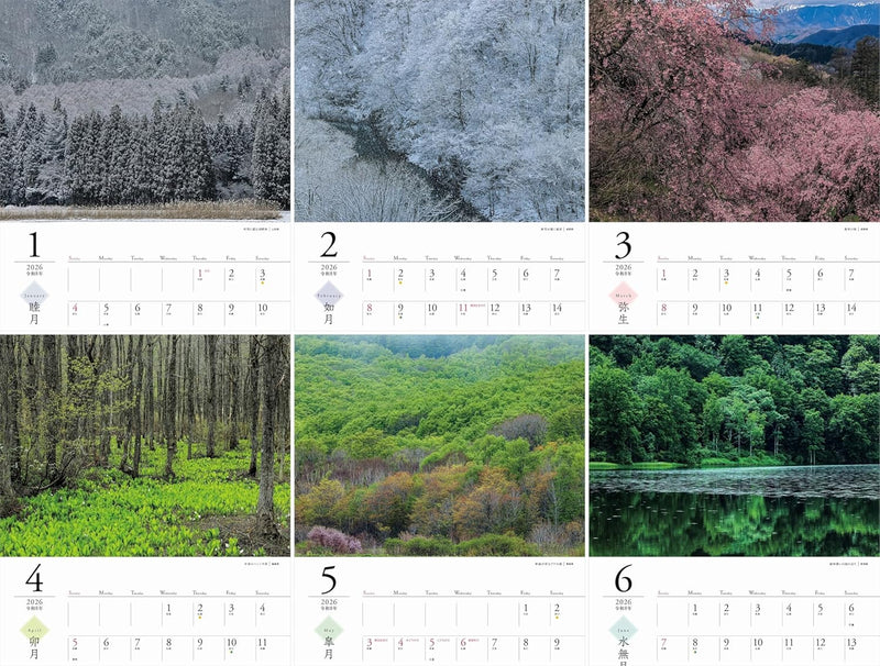 2026 Calemdar Four Seasons in the Forests (Monthly/Wall Calendar) (Yama-Kei Calendar 2026)