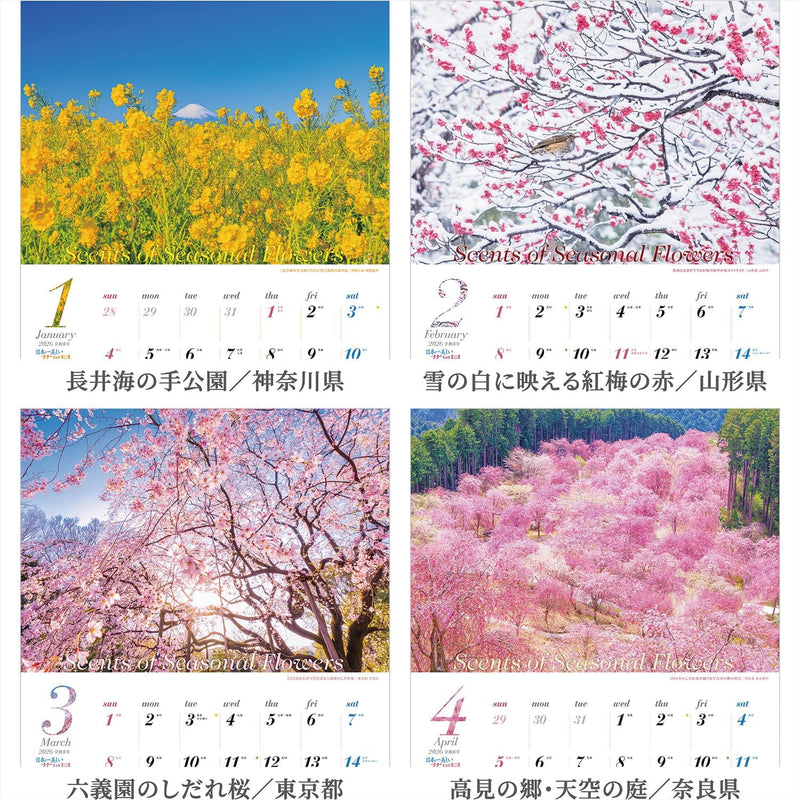 Shashin Koubou Calendar 'Scents of Seasonal Flowers' 2026 Wall Calendar (with Transparent Holder)