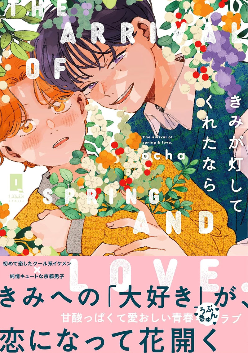 Kimi ga Tomoshite Kureta nara