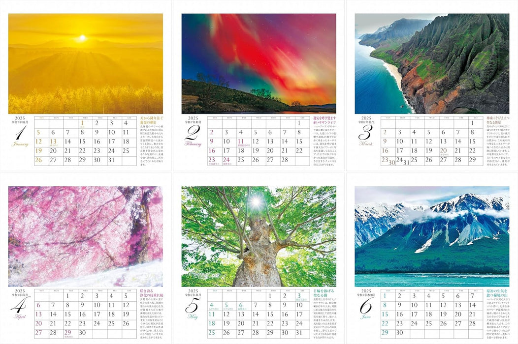 Calendar 2025 Yuchiku Rinoie's Power Spots Desk Calendar (Monthly / Desktop, Ring Binding) (Yama-kei Calendar 2025)