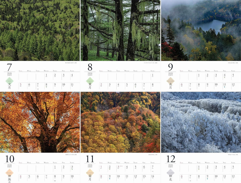2026 Calemdar Four Seasons in the Forests (Monthly/Wall Calendar) (Yama-Kei Calendar 2026)