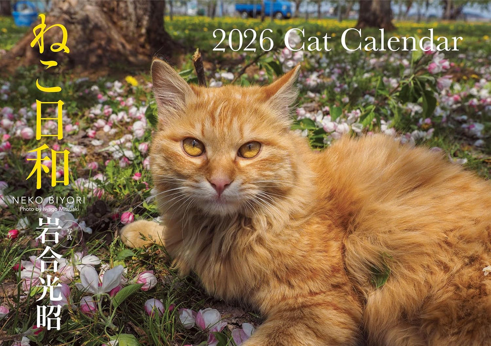 Neko Biyori 2026 Cat Calendar S13