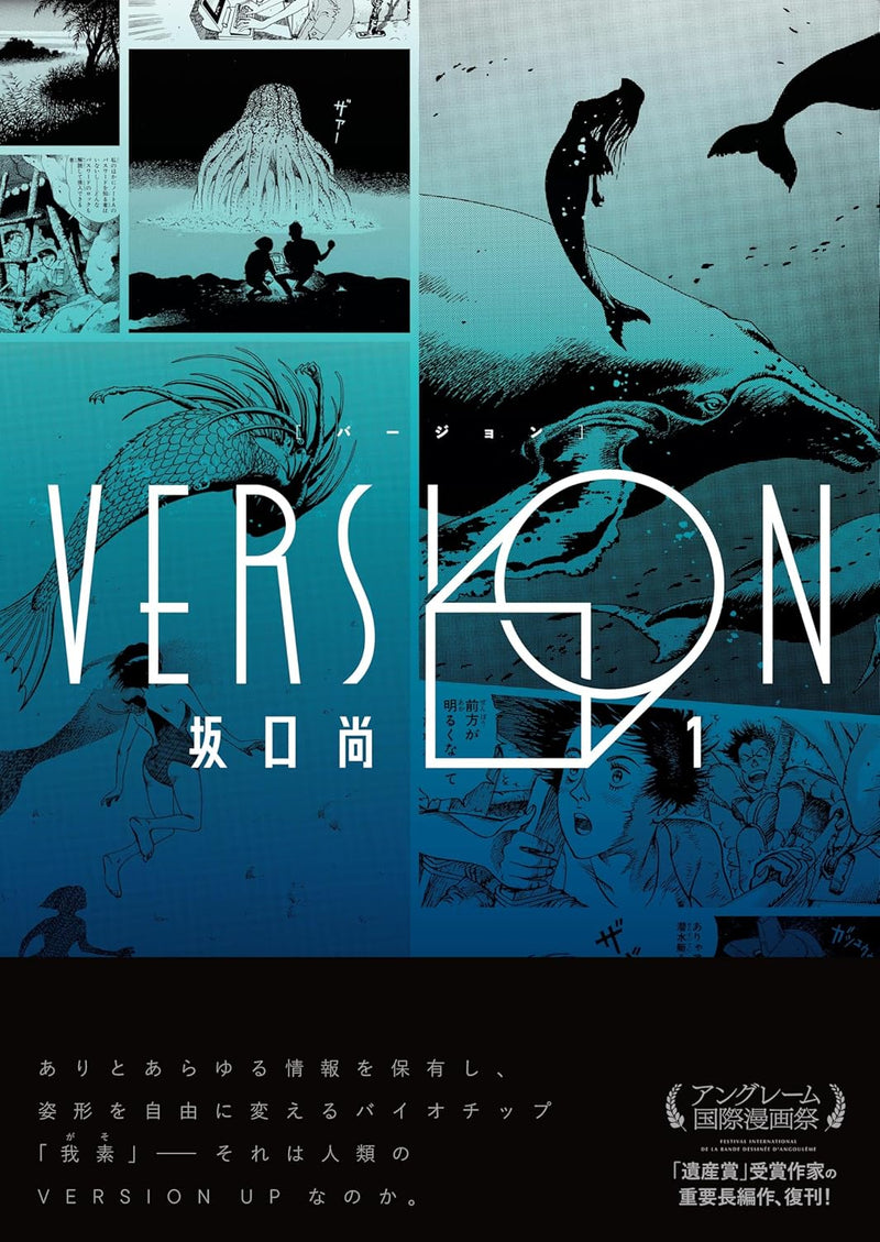 VERSION 1