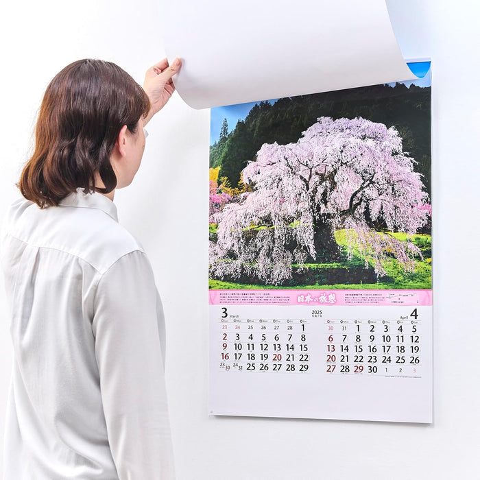 New Japan Calendar 2025 Wall Calendar Nostalgia of Japan NK403 750x504mm