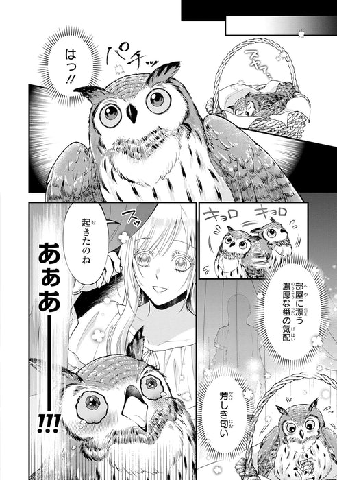 Fukurou to Tsugai-sama 1