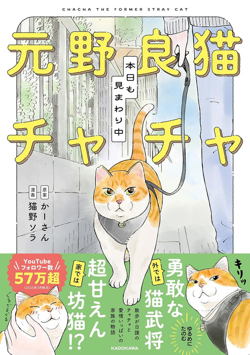 Moto Noraneko Chacha Honjitsu mo Mimawarichuu