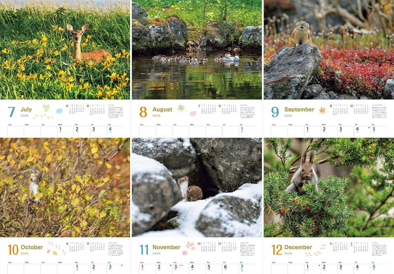 Calendar 2026 Tatsuya Ota Selection Tiny Story in the Forests (Monthly/Wall Caledar) (Yama-Kei Calendar 2026)