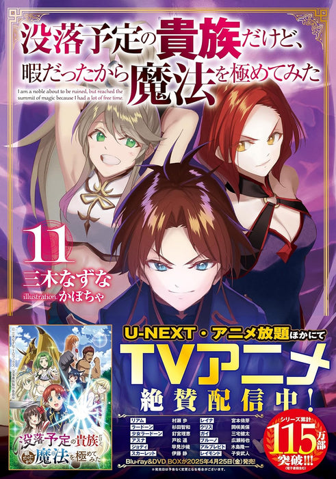 Botsuraku Yotei no Kizoku dakedo, Hima datta kara Mahou wo Kiwamete Mita 11 (Light Novel)