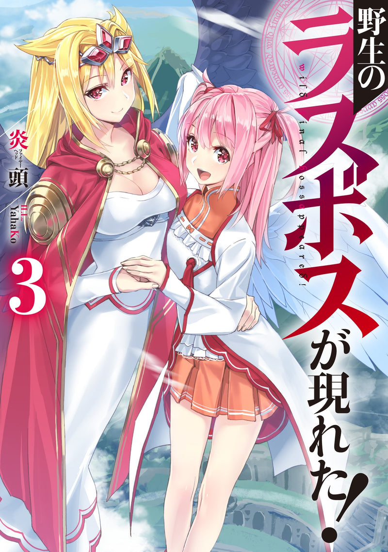 Yasei no Last Boss Ga Arawareta! 3 (Light Novel)