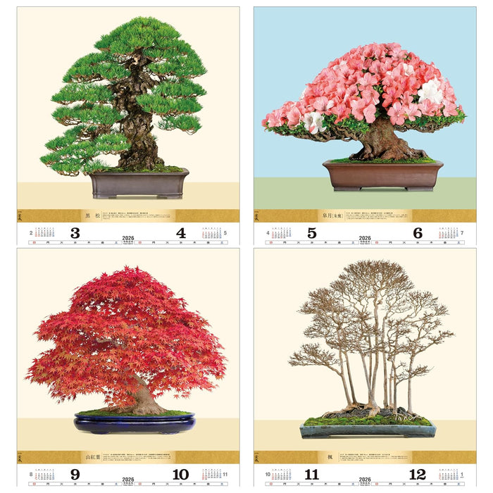 Todan 2026 Wall Calendar Bonsai 76.6 x 51.5cm TD-624