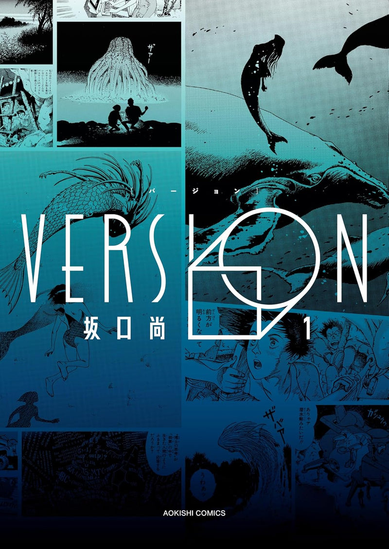 VERSION 1