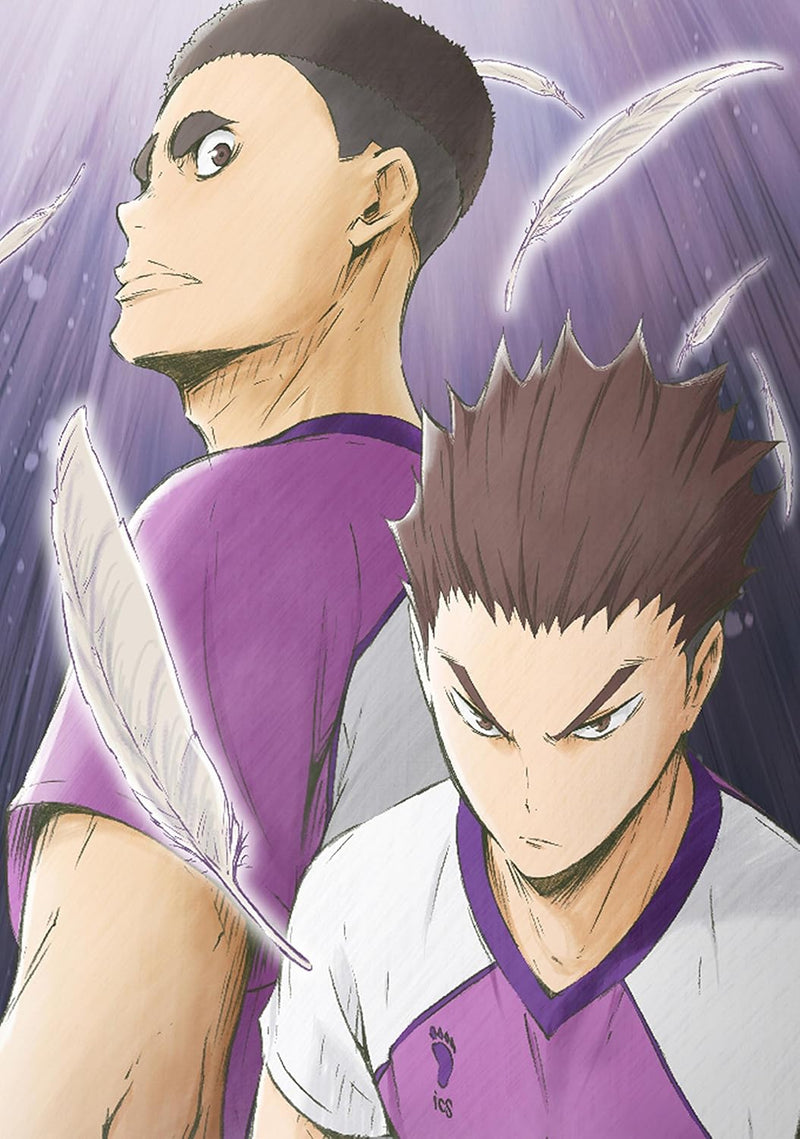 Haikyu!! Karasuno Koukou vs. Shiratorizawa Gakuen Koukou Vol.3(Limited First-Press Edition) [DVD]