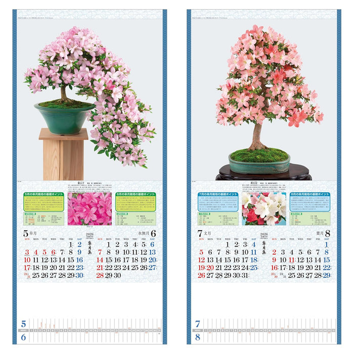 Todan 2026 Wall Calendar Satsuki Shu 76.5 x 35cm TD-784