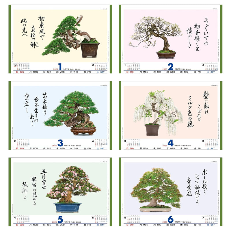 Todan 2025 Wall Calendar Bonsai Masterpiece Collection 60 x 42.5cm TD-665