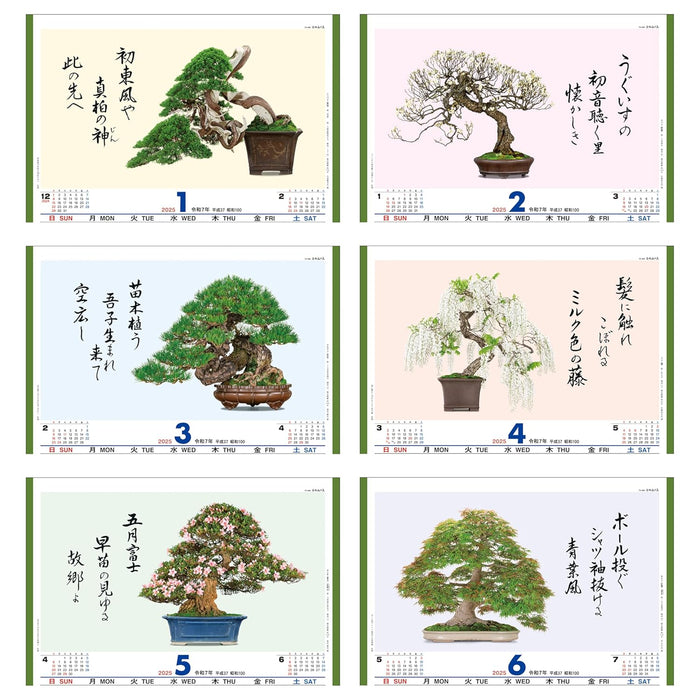 Todan 2025 Wall Calendar Bonsai Masterpiece Collection 60 x 42.5cm TD-665