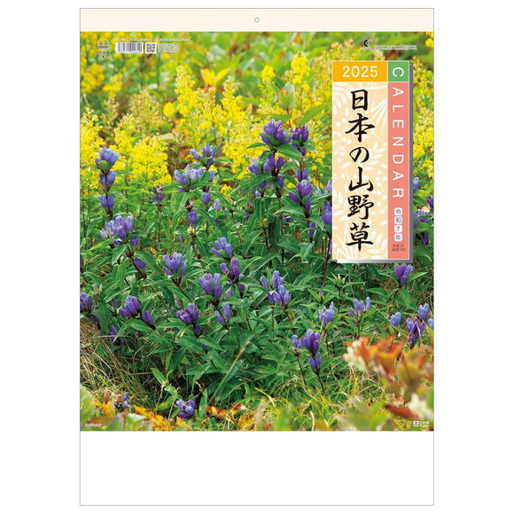 Todan 2025 Wall Calendar Japanese Wildflowers 53.5 x 38cm TD-818