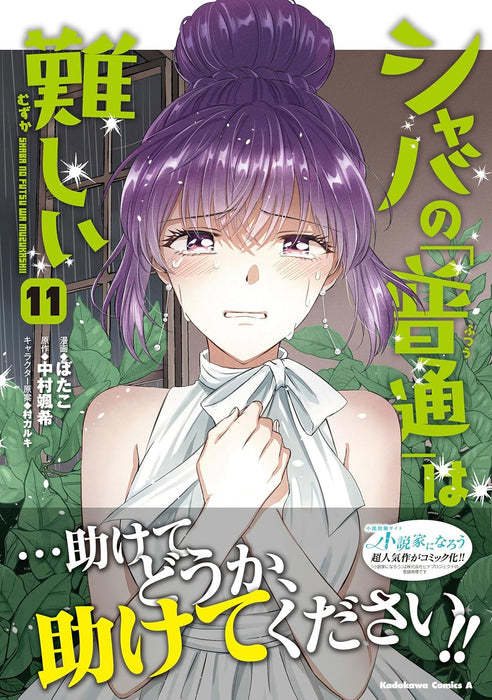 Shaba no 'Futsuu' wa Muzukashii 11