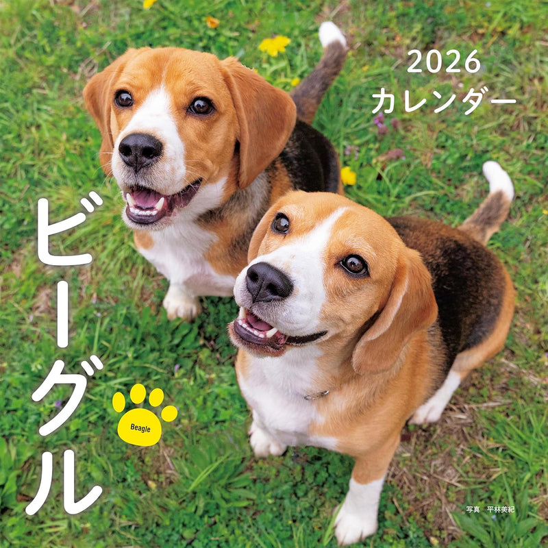 2026 Beagle Calendar