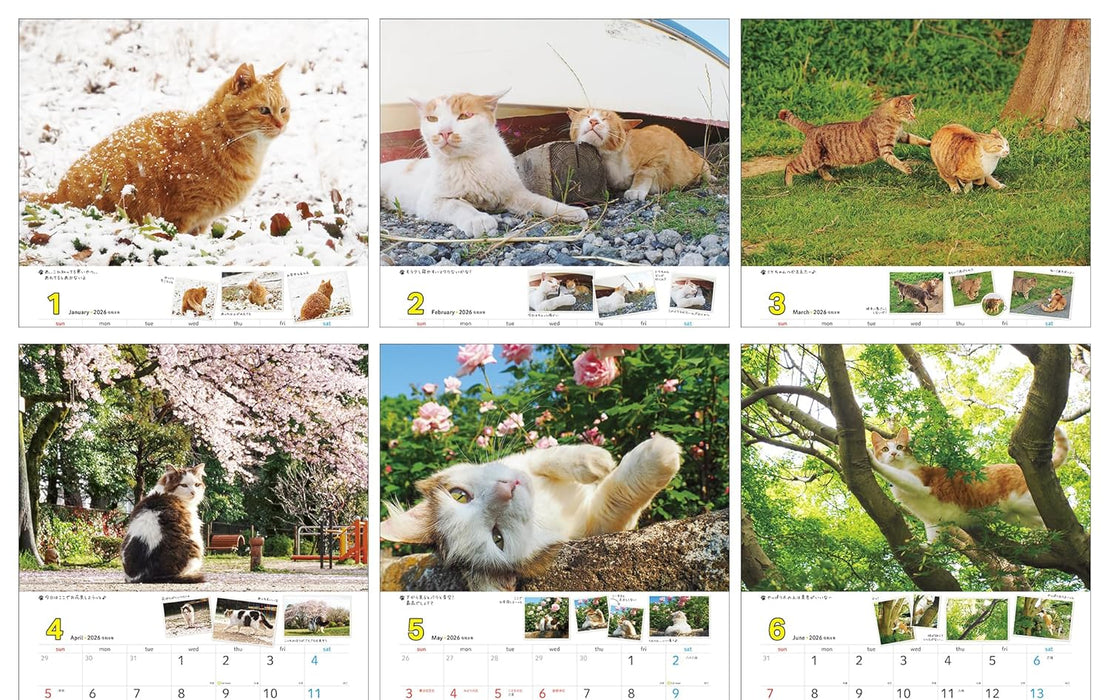 Sachiyo Nakamura Cat Stroll 2026 Wall Calendar