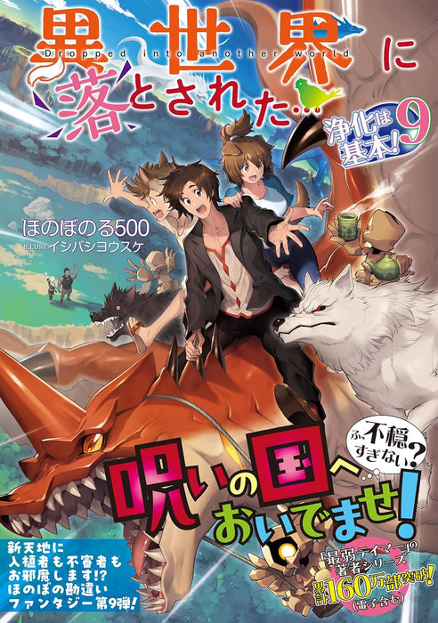 Isekai ni Otosareta... Jouka wa Kihon! 9 (Light Novel)