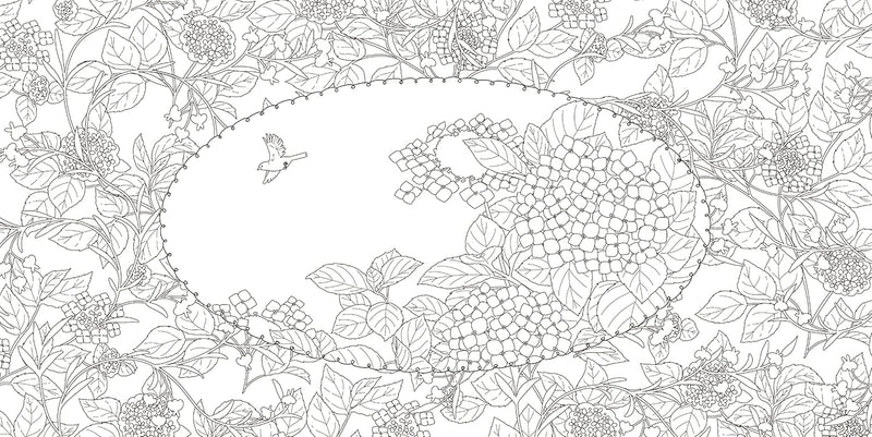 The coloring book - A bird traveling flowers to flowers -