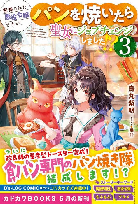 Danzai sareta Akuyaku Reijou desu ga, Pan wo Yaitara Seijo ni Job Change Shimashita!? 3 (Light Novel)