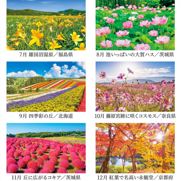 Shashin Koubou Scents of Seasonal Flowers 2025 Desk Calendar (Double-Sided Design) 144 x 182mm