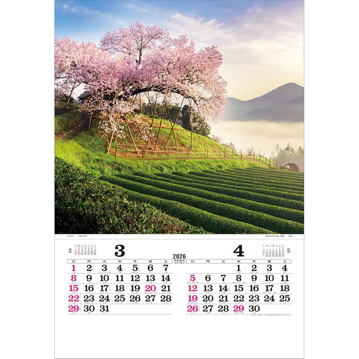 Todan 2026 Wall Calendar Poetical Scenery with Japanese Holidays Tohan DX Film 75 x 50.4cm TD-502