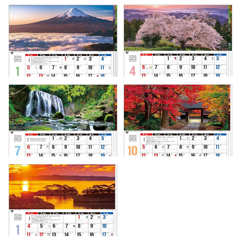 Todan 2025 Wall Calendar Japanese Scenery 3-Month Memo (From Top to Bottom Type / Perforated) 75 x 35cm TD-30780