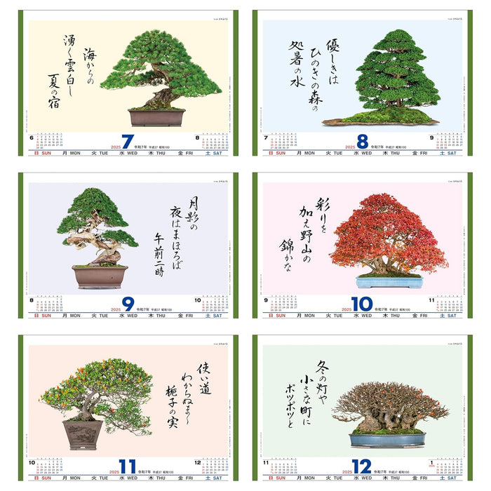 Todan 2025 Wall Calendar Bonsai Masterpiece Collection 60 x 42.5cm TD-665