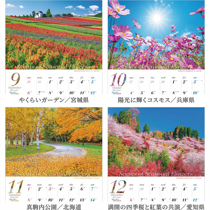 Shashin Koubou Calendar 'Scents of Seasonal Flowers' 2026 Wall Calendar (with Transparent Holder)