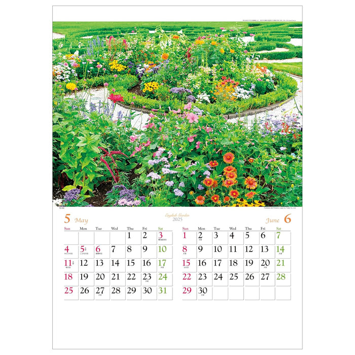 Todan 2025 Wall Calendar English Garden 52.7 x 38cm TD-916