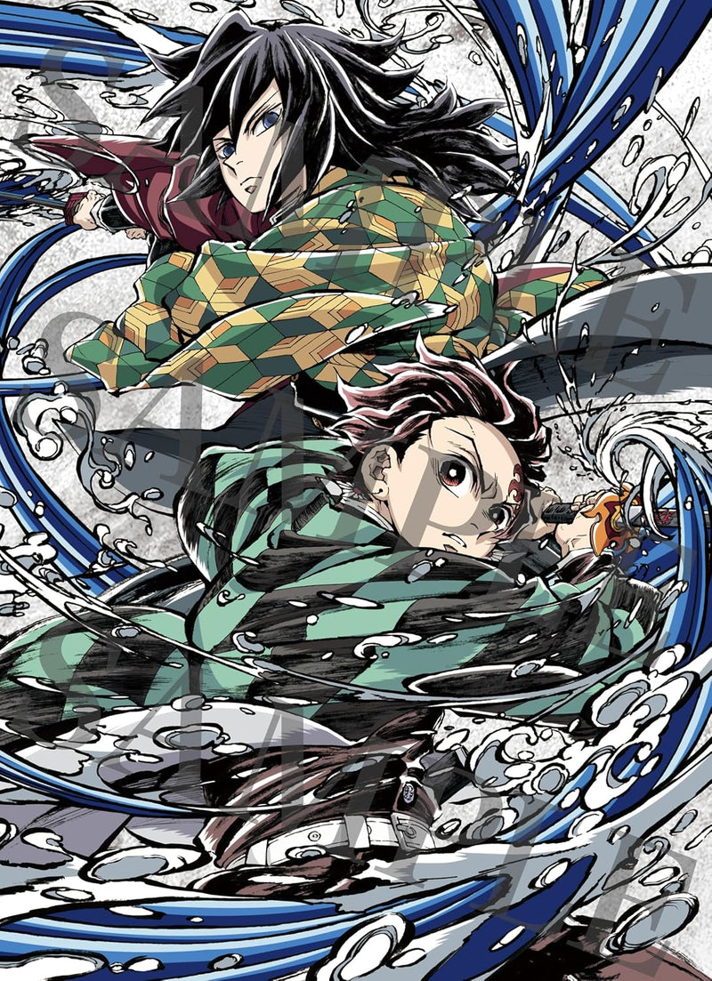 Demon Slayer: Kimetsu no Yaiba - The Movie: Infinity Castle Fully Limited Production Edition [DVD]
