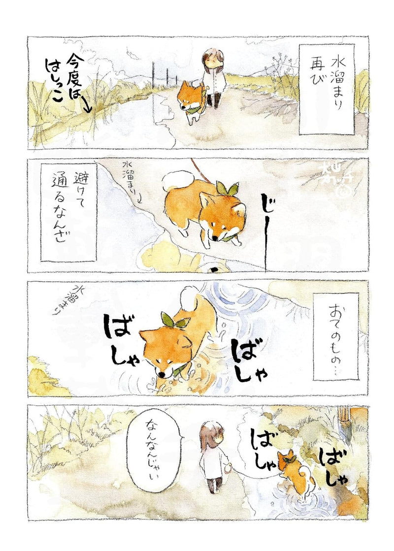 Shiba Inu Pon-chan, Kyou mo Waga Michi wo Iku 2