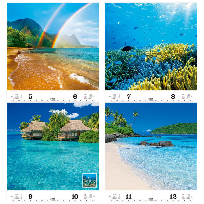 Todan 2026 Wall Calendar Marine Blue Tohan DX Film 75 x 50.4cm TD-527