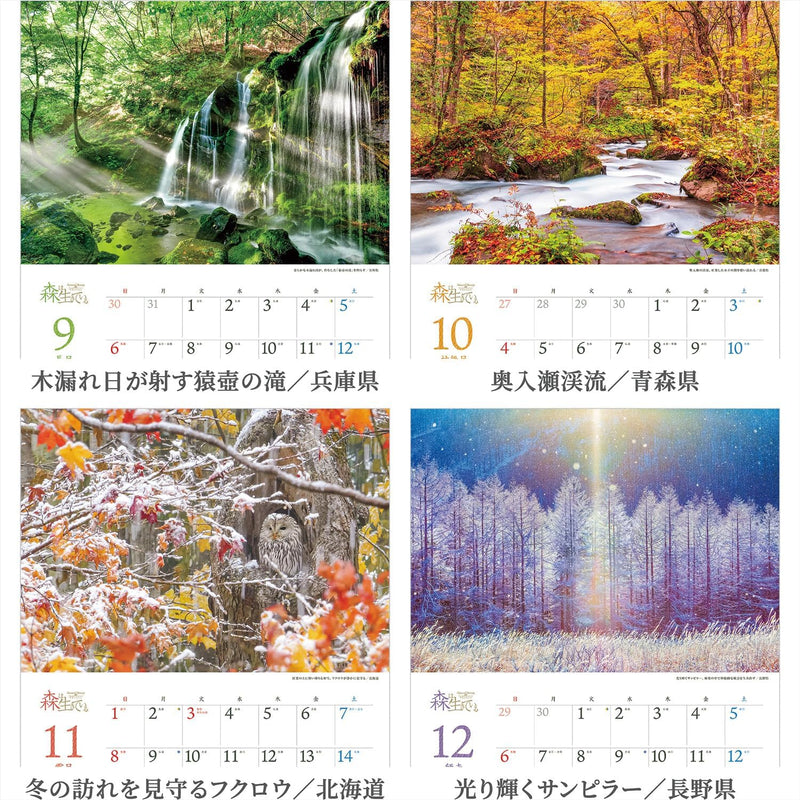 Shashin Koubou Calendar 'Natural Beatury in Japanese Forests' 2026 Wall Calendar (with Transparent Holder)