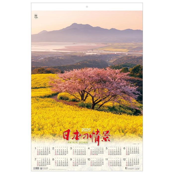 Todan 2025 Calendar Poetical Scenery with Japanese Holidays Tohan DX Film 75 x 50.4cm TD-502