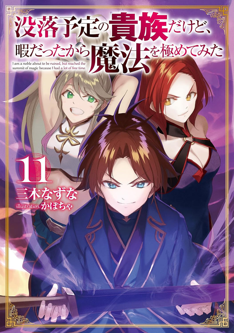 Botsuraku Yotei no Kizoku dakedo, Hima datta kara Mahou wo Kiwamete Mita 11 (Light Novel)