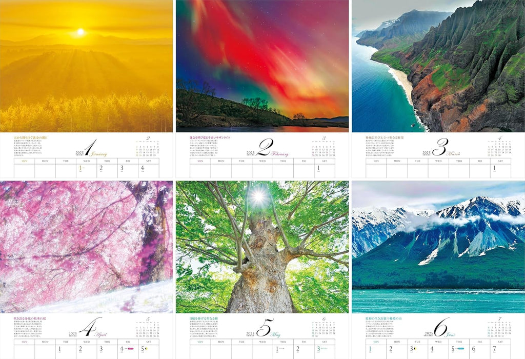 Calendar 2025 Yuchiku Rinoie's Power Spots Calendar  (Monthly/Wall Calendar) (Yama-kei Calendar 2025)