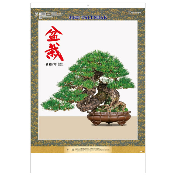 Todan 2025 Wall Calendar Bonsai 76.6 x 51.5cm TD-624