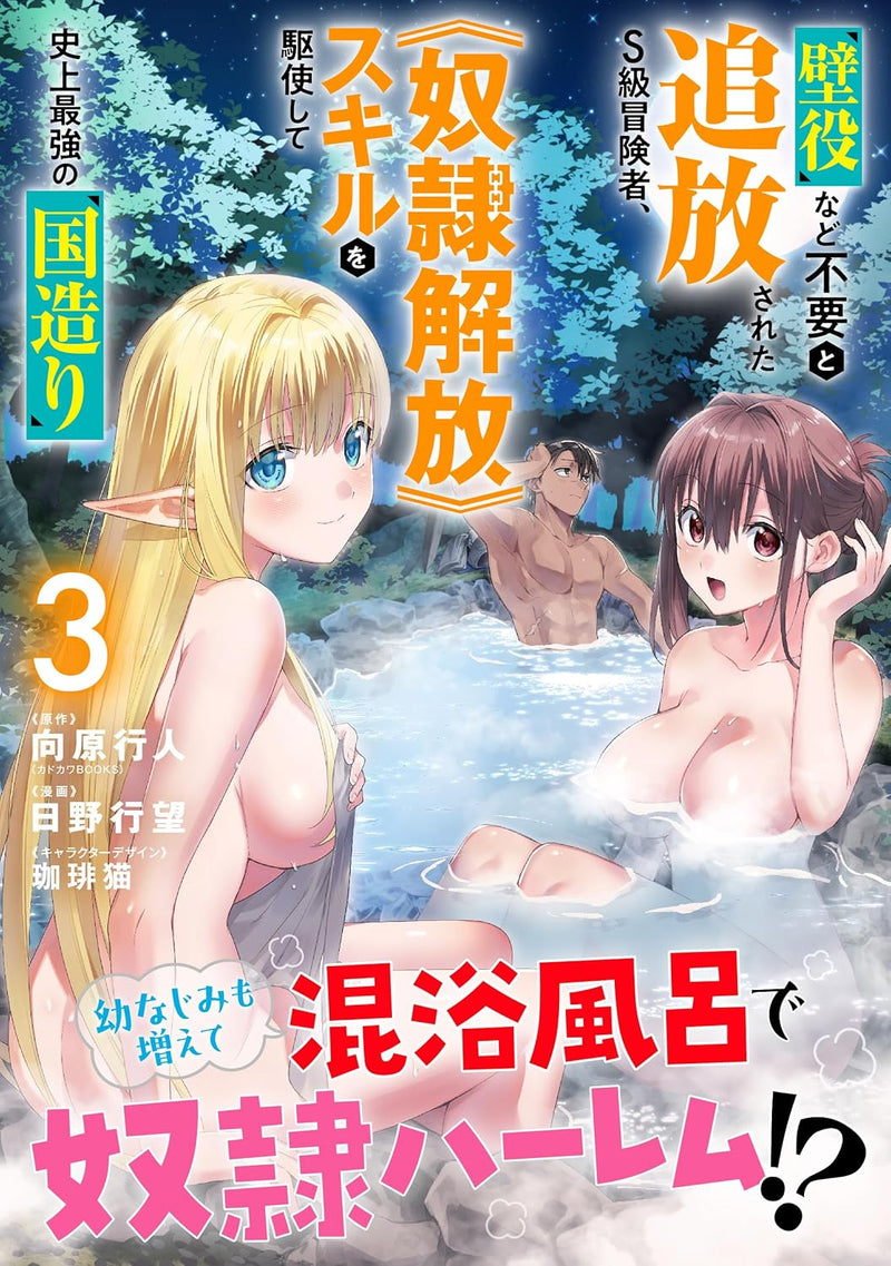 Kabeyaku Nado Fuyou to Tsuihousareta S-kyuu Boukensha, <Dorei Kaihou> Skill wo Kushi shite Shijou Saikyou no Kunizukuri 3