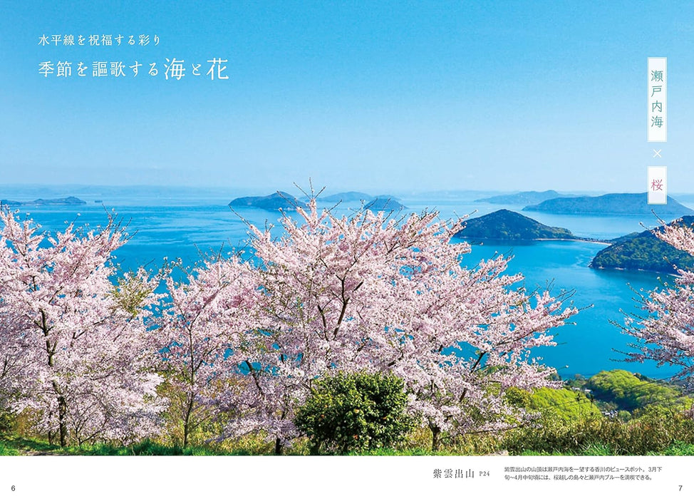 Beautiful Japan: A Journey to Breathtaking Flower Landscapes
